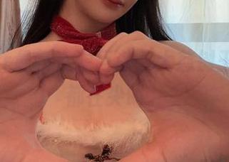 前羽_rr最新资源巨献,大慈树王的我们都在尖叫。